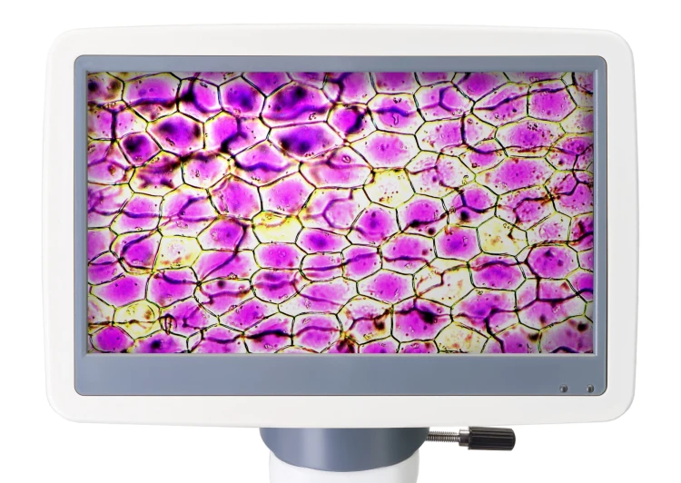 Mikroskop cyfrowy Levenhuk D85L LCD