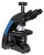 Mikroskop cyfrowy Levenhuk D870T 8M