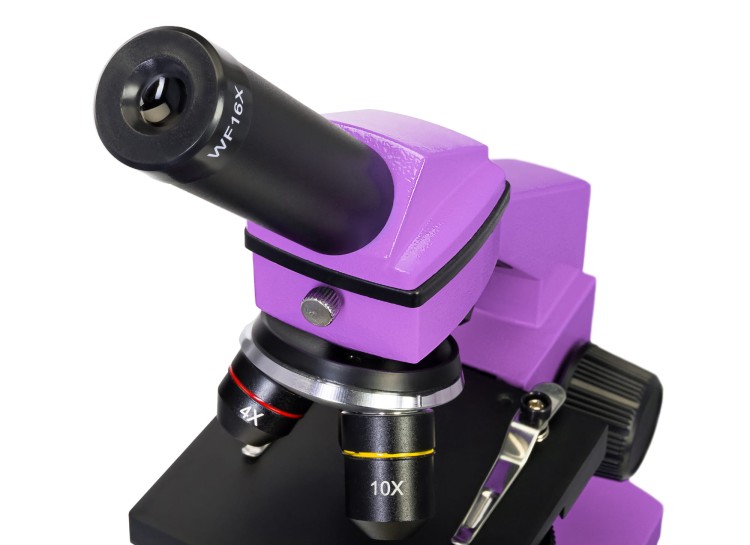Mikroskop Levenhuk Rainbow 2L PLUS Amethyst