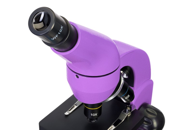 Mikroskop Levenhuk Rainbow 50L Amethyst