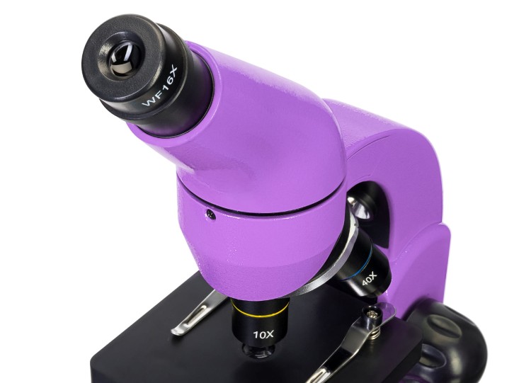 Mikroskop Levenhuk Rainbow 50L PLUS Amethyst