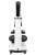 Mikroskop cyfrowy Levenhuk Rainbow D2L 0.3M Moonstone