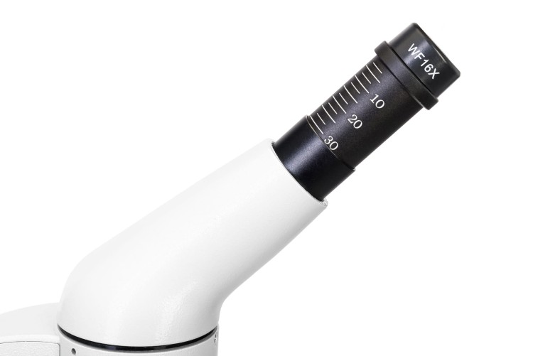 Mikroskop cyfrowy Levenhuk Rainbow D50L PLUS 2M Moonstone