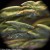 Mikroskop cyfrowy Levenhuk Rainbow D50L PLUS 2M Moonstone