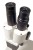 3799
