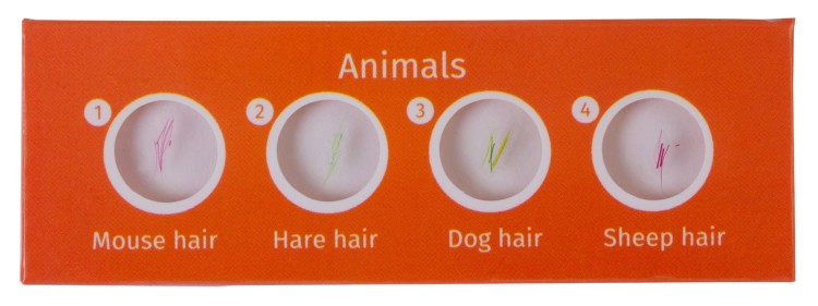5300