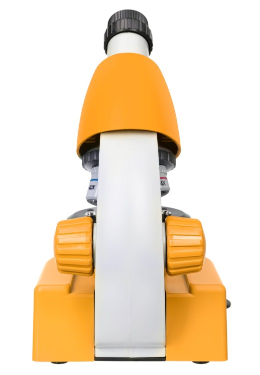 6175