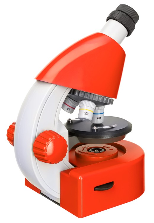 6191