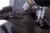 4895b5b2d220eba1de2334f87a258fb6